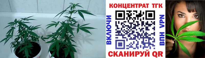 Дистиллят ТГК гашишное масло маркетплейс телеграм Костомукша